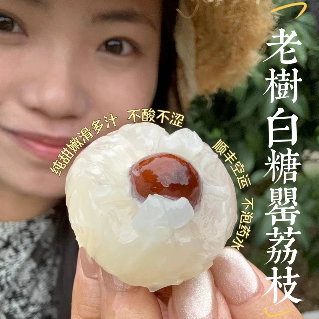 【甜嫩多汁无酸】高州老树白糖罂荔枝不早采不泡药顺丰空运