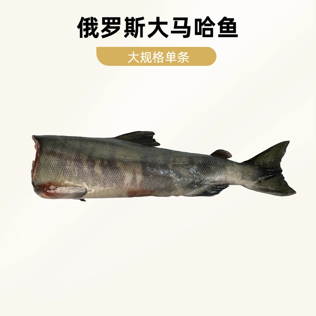 【大规格】大马哈鱼5.5-6.5斤  俄罗斯进口去头去内脏单条装
