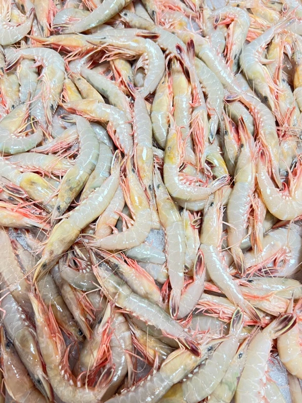 本港天然青虾剑虾(一份1000g)