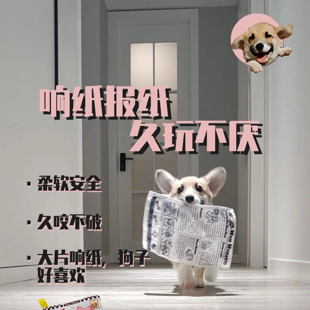 狗狗玩具耐咬磨牙解闷发声报纸响纸玩具泰迪柯基中小型宠物用品