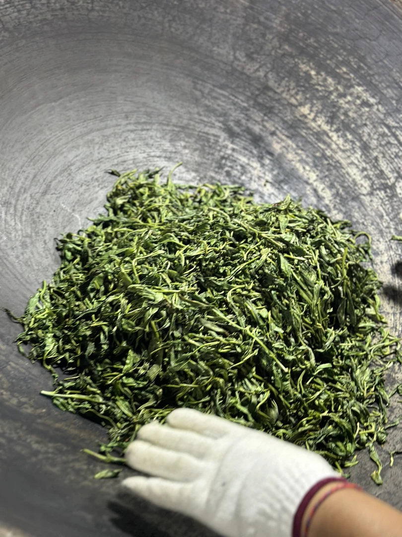 2025年头春头采 荒山细叶 纯料生茶