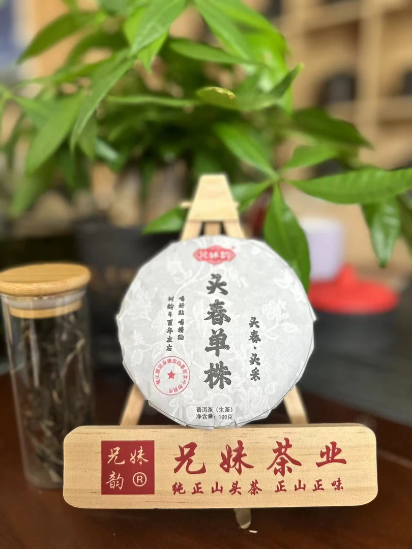 《自家茶园》2024年古树单株头春茶纯料普洱生茶100克/饼