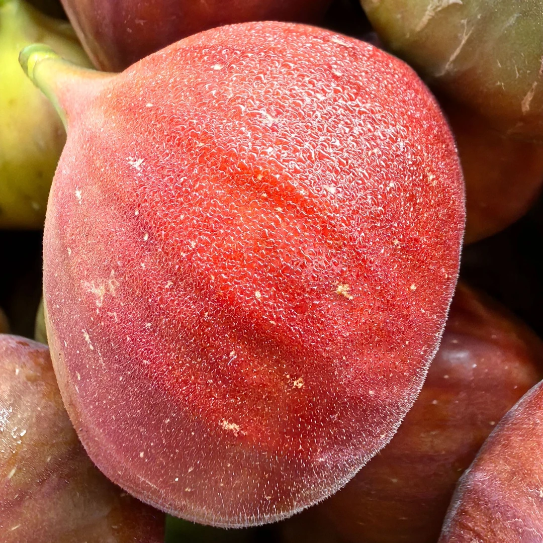 无花果【顺丰空运】树上熟，现采现发，冬季无花果