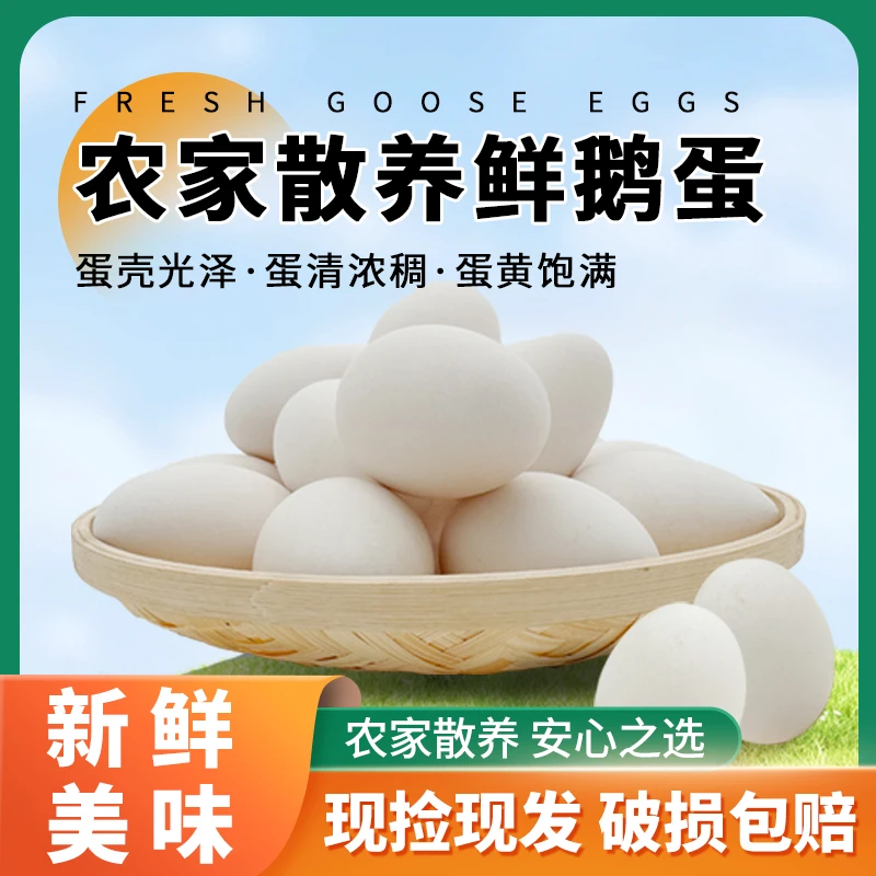 蛋三娘二两四到二两八新鲜散养土鹅蛋营养农家大鹅蛋现捡现发年味