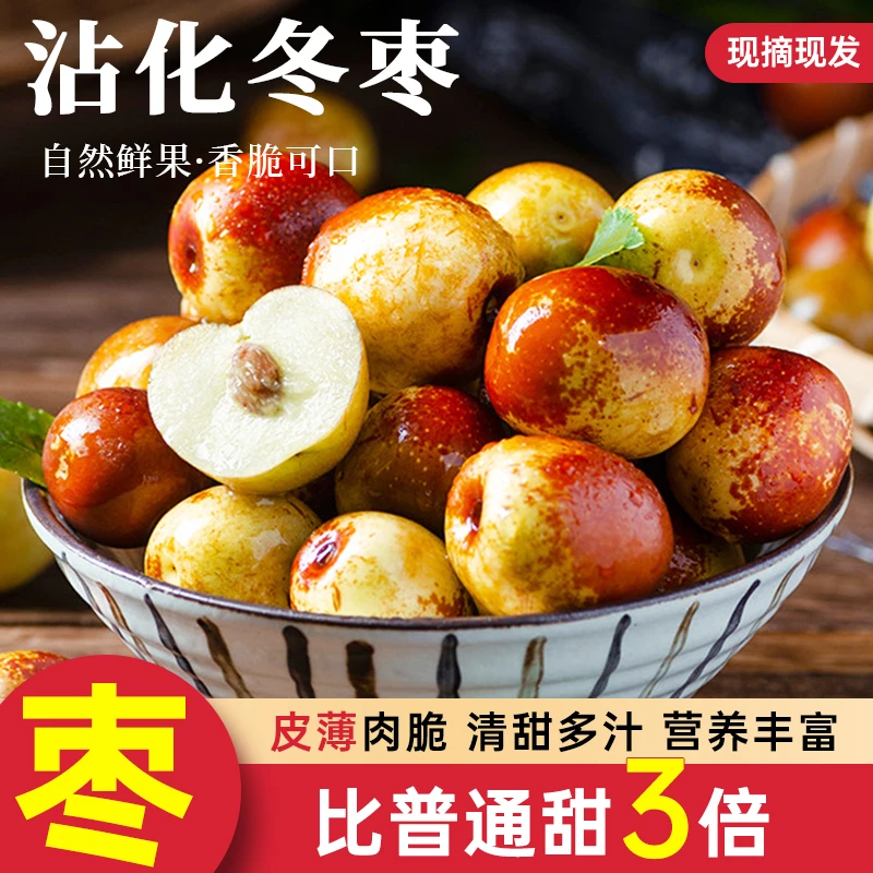 沾化冬枣应季水果新鲜正宗皮薄品质发货产地爽口新鲜采摘