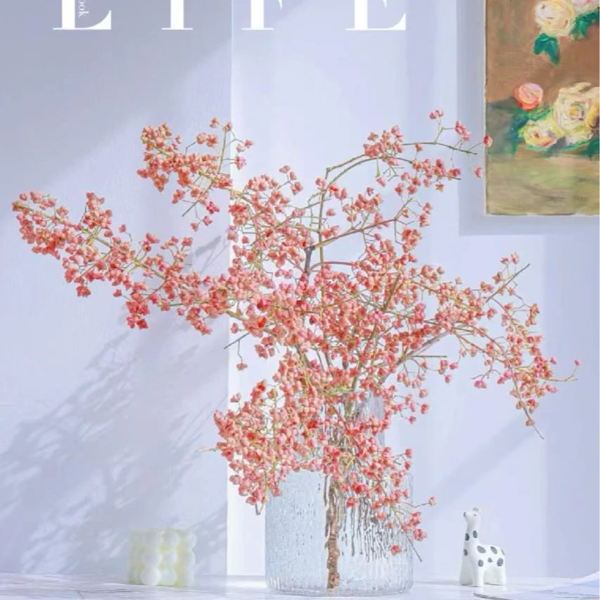 【白杜果链接】云南产地直发 | 新鲜采摘