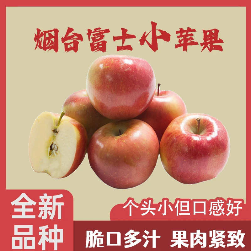 山东烟台富士小苹果鲜果现发【店铺专属】