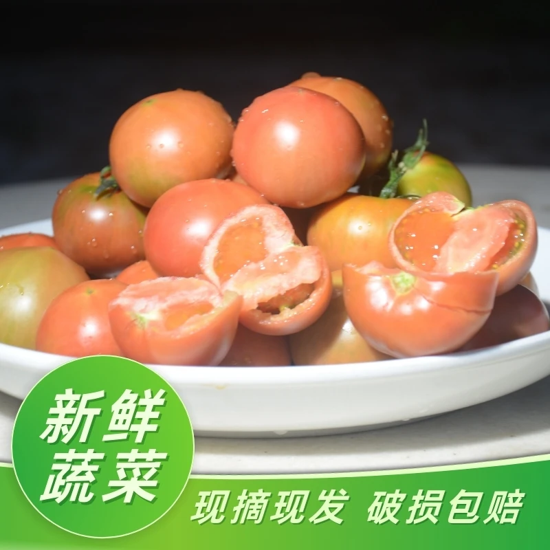 天津新鲜老味西红柿现摘现发净4斤大果
