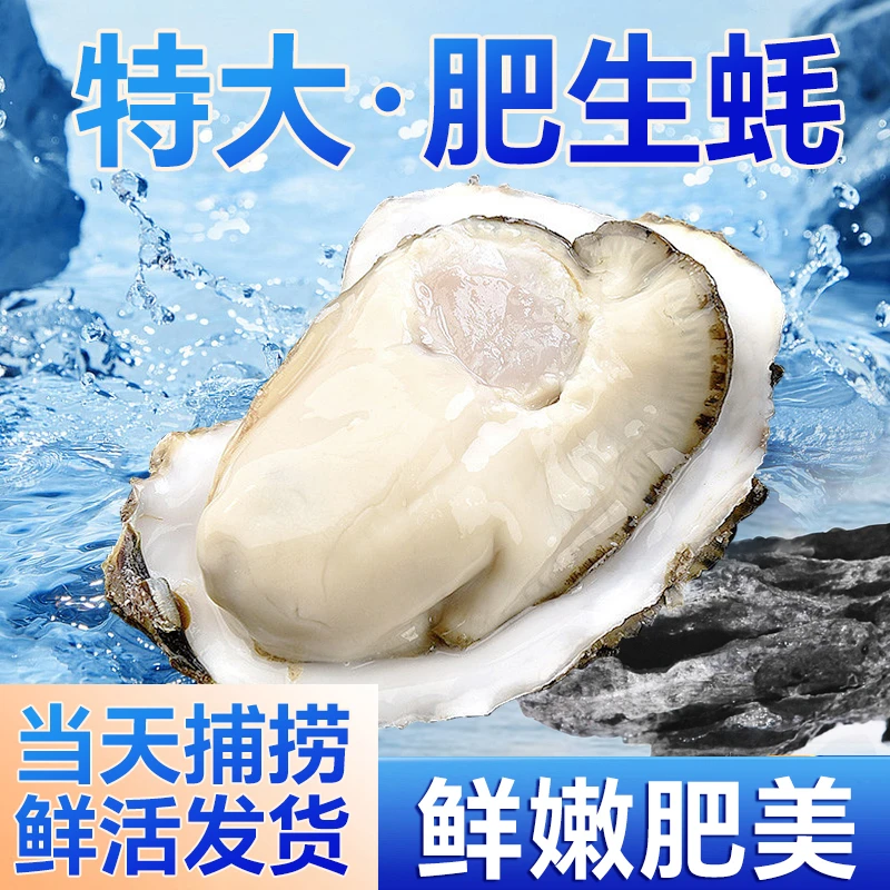 乳山生蚝多规格10斤甄品礼盒装 鲜活发货蒜蓉粉丝烧烤顺丰发货