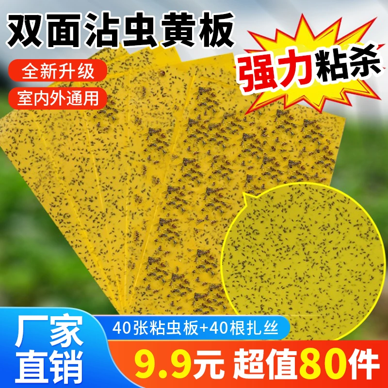 抢【9.9元40张配扎丝】农业双面粘虫板诱虫小黑飞菜园庭院大棚专用