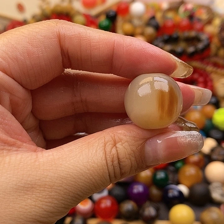 大果紫檀（缅甸花梨）20m