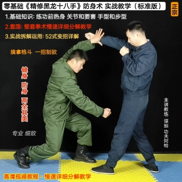 精修《黑龙十八手》套路+实战52式变招【入门到精通】