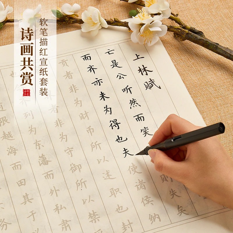 【软笔练字】上林赋全篇彩宣字帖兰亭序诗经小楷毛笔描红临摹