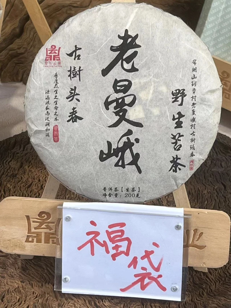 老曼峨古树头春 野生苦茶