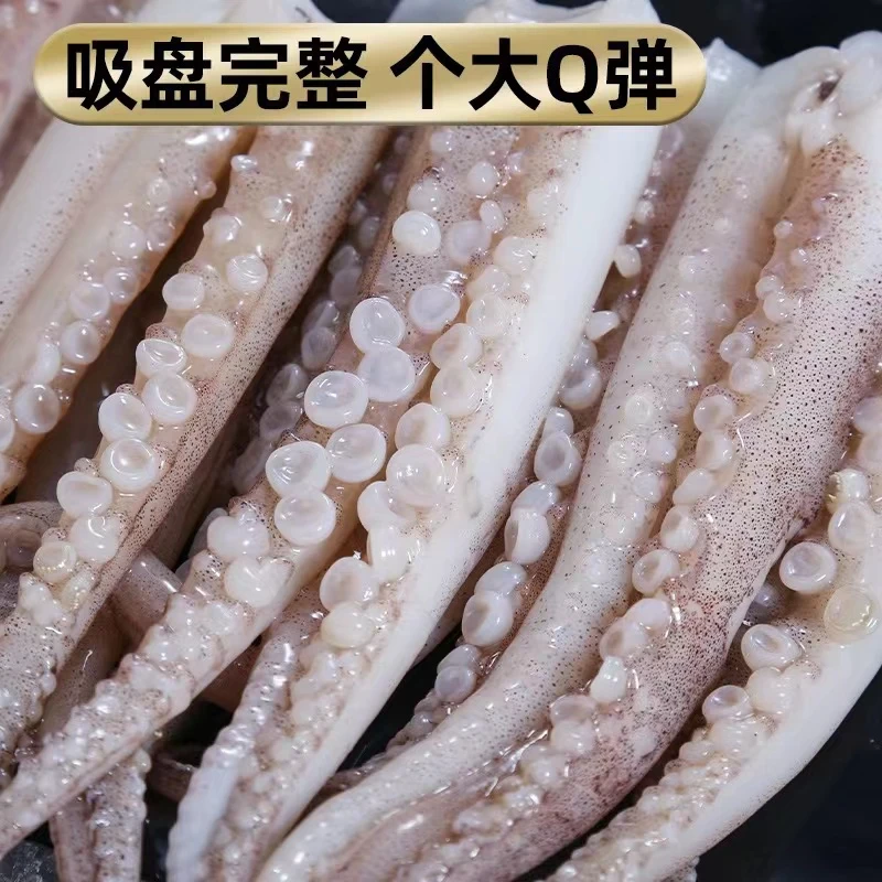 连云港发货 脆口鱿鱼须（毛重500g每包）新鲜二本足海捕速冻锁鲜