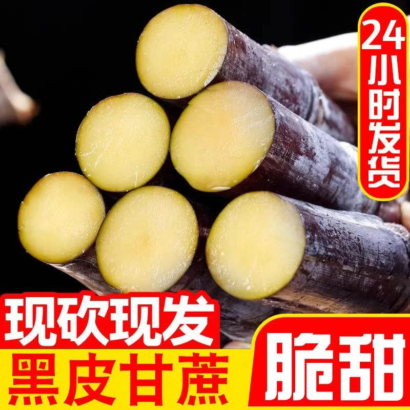 正宗广西黑皮甘蔗5/9斤当季新鲜水果批发整箱脆甜爽口杆蔗