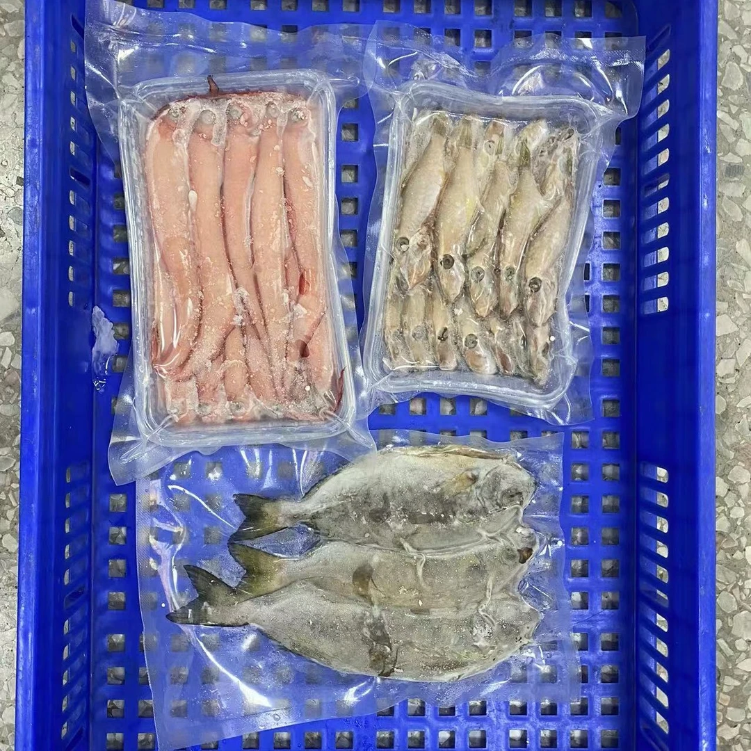 浅海鱼类组合套餐64