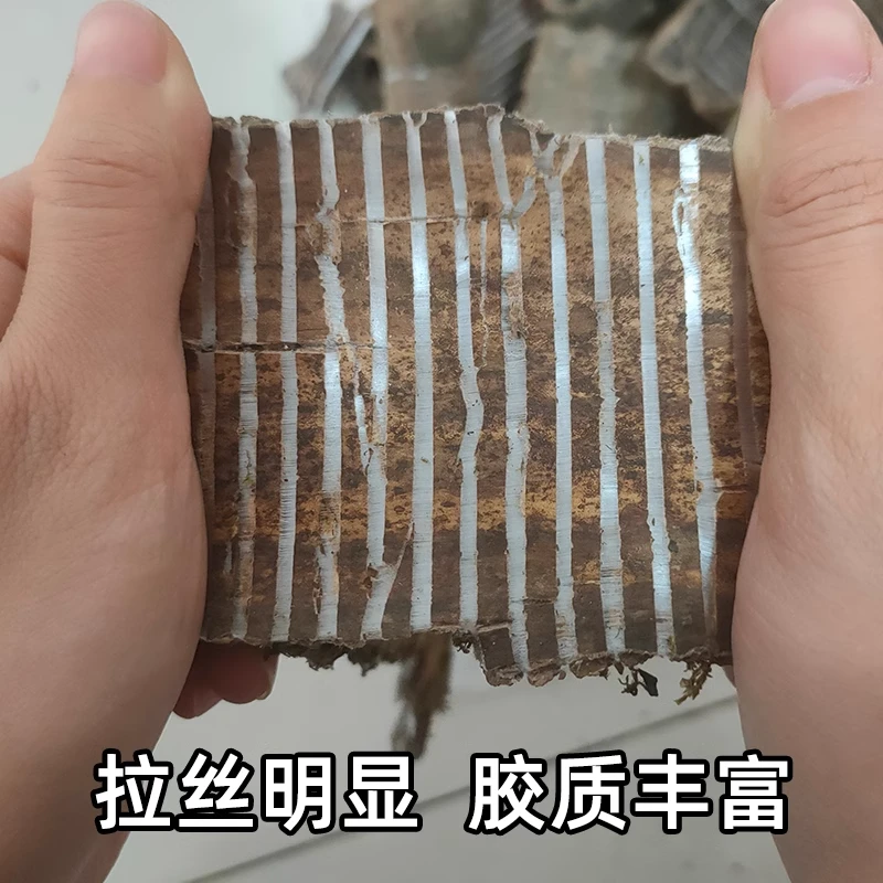 官方庄 吴兄杜仲搭配牛大力泡酒煲汤喝散装 散装农产品