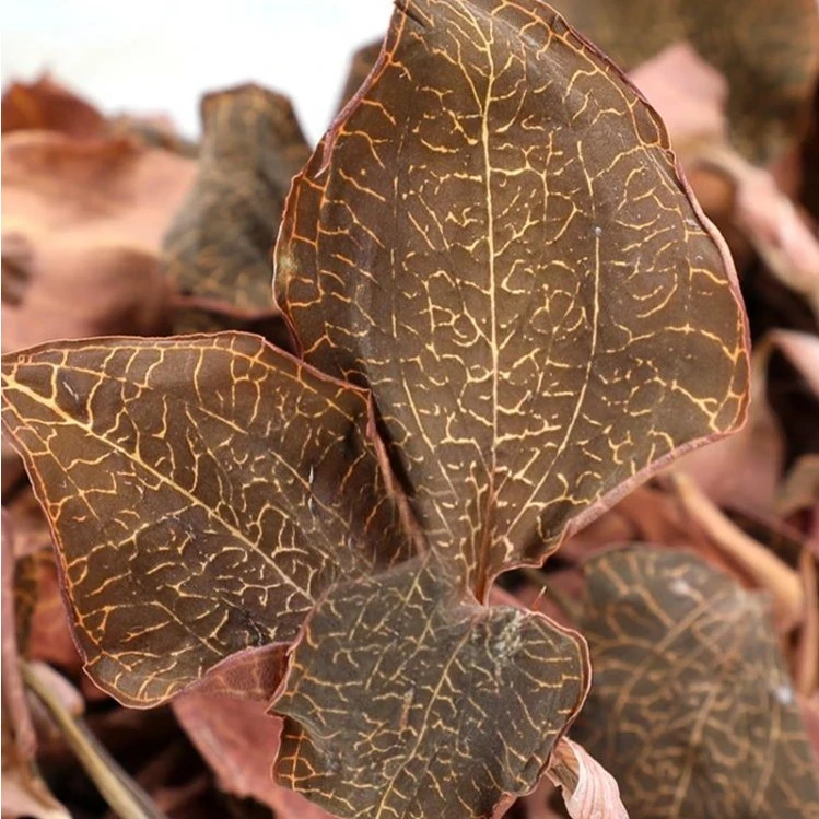 （吴兄同款）官方庄 红霞莲  散装农产品