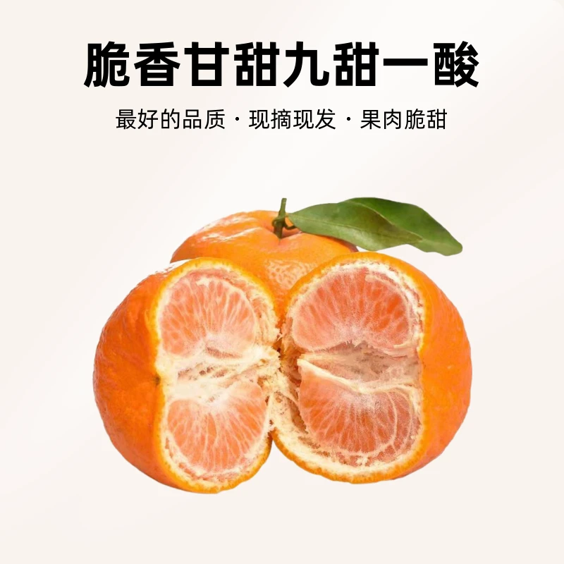 正宗巴东椪柑芦柑孕非四川丑桔妇水果柑/桔/橘脆香甘甜果园直发