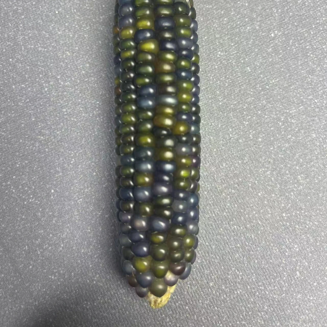 15---35拍这玉露直播间一物一拍