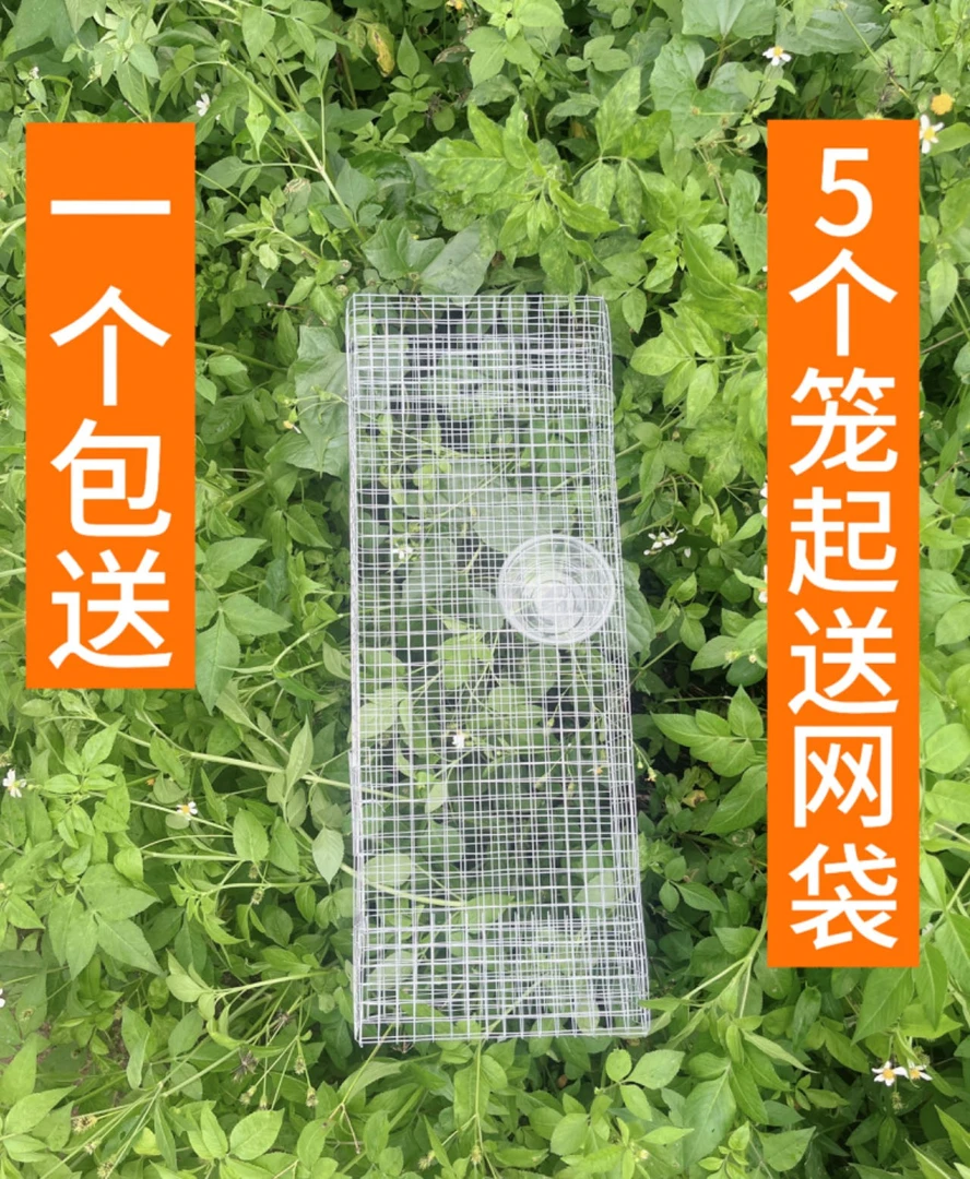 新款加厚双门笼铁丝笼养地笼蛇笼子保护蛇箱长虫笼户外笼中笼捕捉