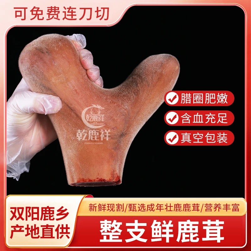 （乾鹿祥）鲜鹿茸 源头产地 吉林梅花鹿 泡酒煲汤炖肉 新鲜鹿茸