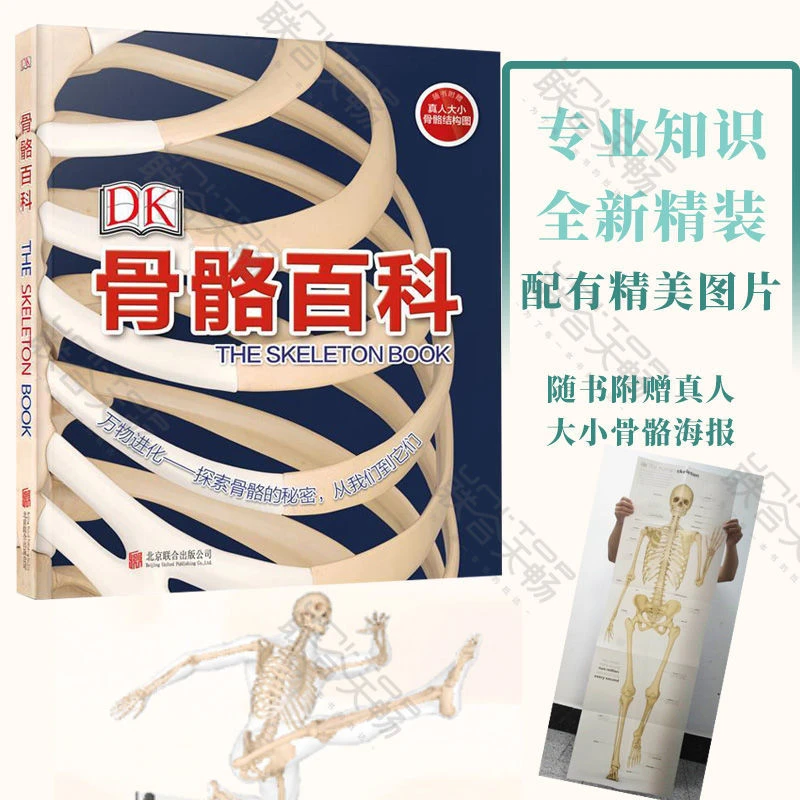 DK骨骼百科 英国DK公司 骨骼百科 拥有健康的体魄从了解骨骼开始