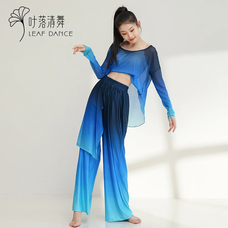 叶落清舞古典舞渐变网纱上衣oversize落肩长袖现代舞蹈练功服装女