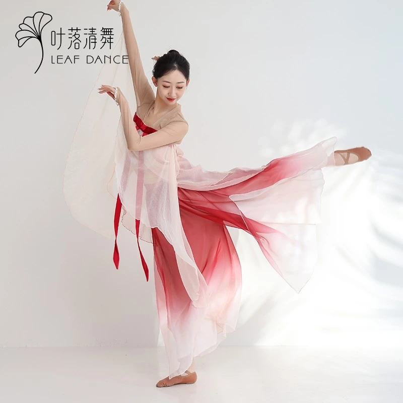 叶落清舞古典舞和离书舞蹈服飘逸花瓣裙艺考剧目成人舞蹈演出服装