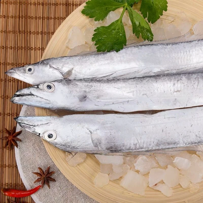 小眼睛油带鱼5斤到手12-14条(个别破腹）顺丰冷链