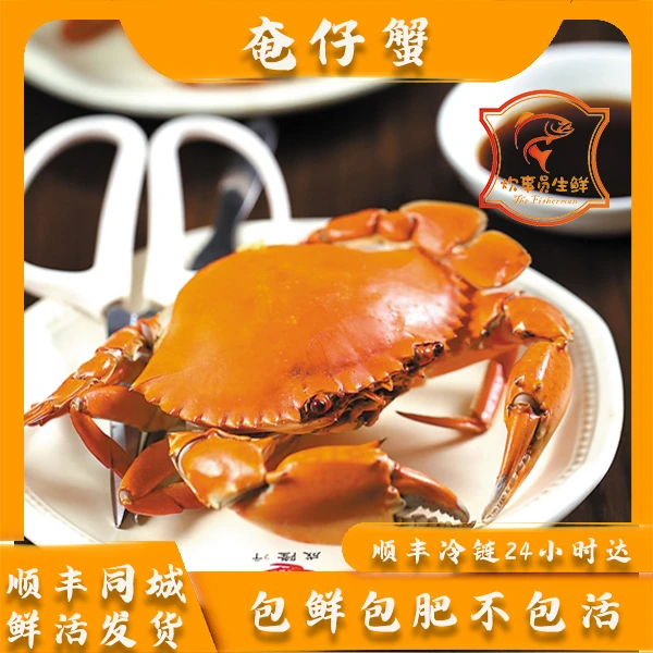 十只活发2-3两/只野生鲜活奄仔蟹不包活 鲜活海蟹 新风港发货