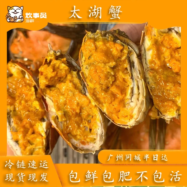 【活蟹】太湖大闸蟹 2.5两母大闸蟹 共八只鲜活发货,黄膏尝鲜