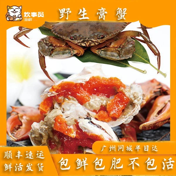 十只膏蟹2-2.5两/只 肉质饱满无膏无肉赔半只 鲜活海蟹不包活