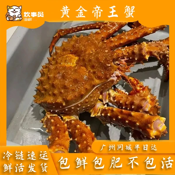 活发4-5斤/只 鲜活金帝王蟹 海鲜码头发货 活发包鲜 鲜活海蟹