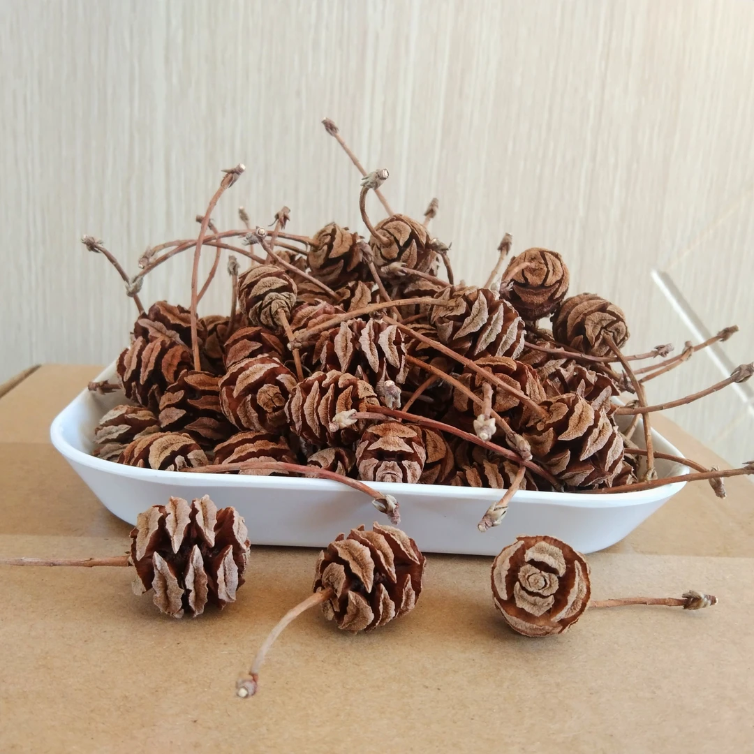 杉树原果干花墙壁装饰幼儿园手工艺术装饰材料松果花松果拍摄摆件