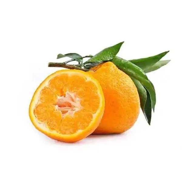 【顺丰包邮上楼】小王子虎头耙耙柑/丑桔      1箱-8斤左右