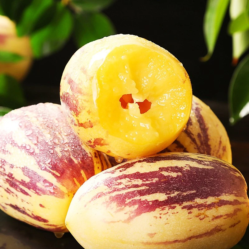 鲜果欢甘肃人参果大果4.5斤长果新鲜爆汁产地直发甄选多汁