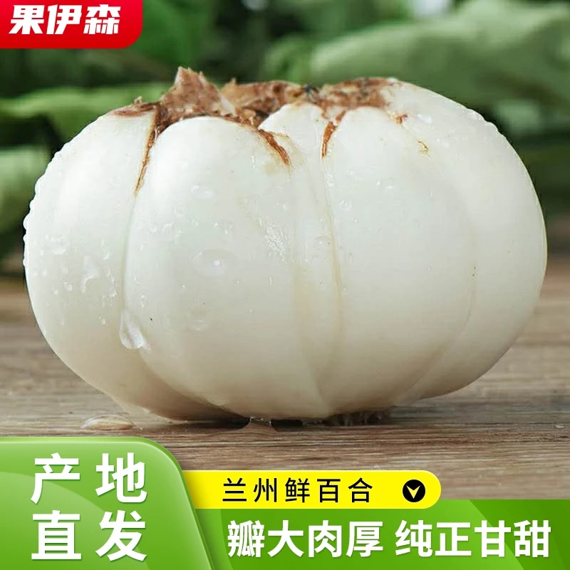 鲜果欢兰州鲜百合 1斤装可生食的甜白合