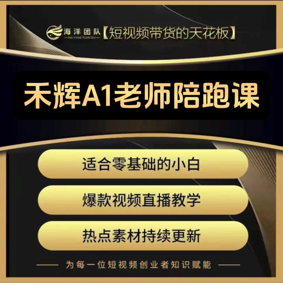 禾辉A1老师私教陪跑课(报名通道N)