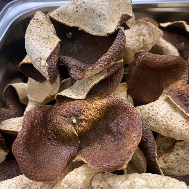 2020东甲牛比围原种母树圈枝 正宗新会陈皮