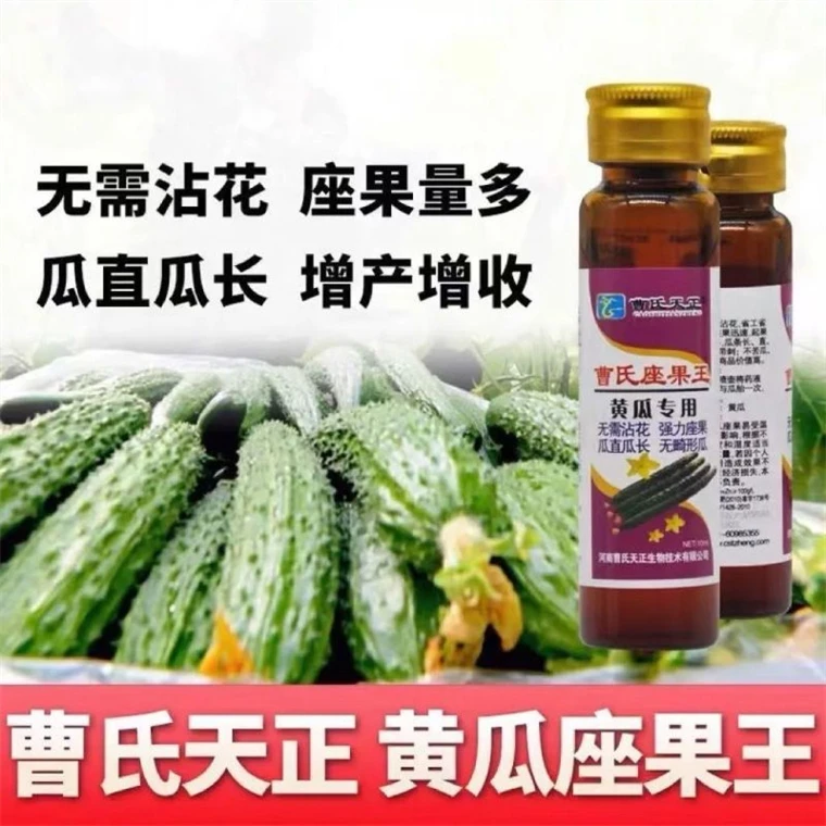 曹氏天正黄瓜座果王提高座果率防畸形增产无需沾花黄瓜专用叶面肥