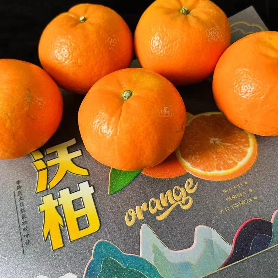 正宗武鸣沃柑特产新鲜晚熟品质品种健康爽口中果/大果