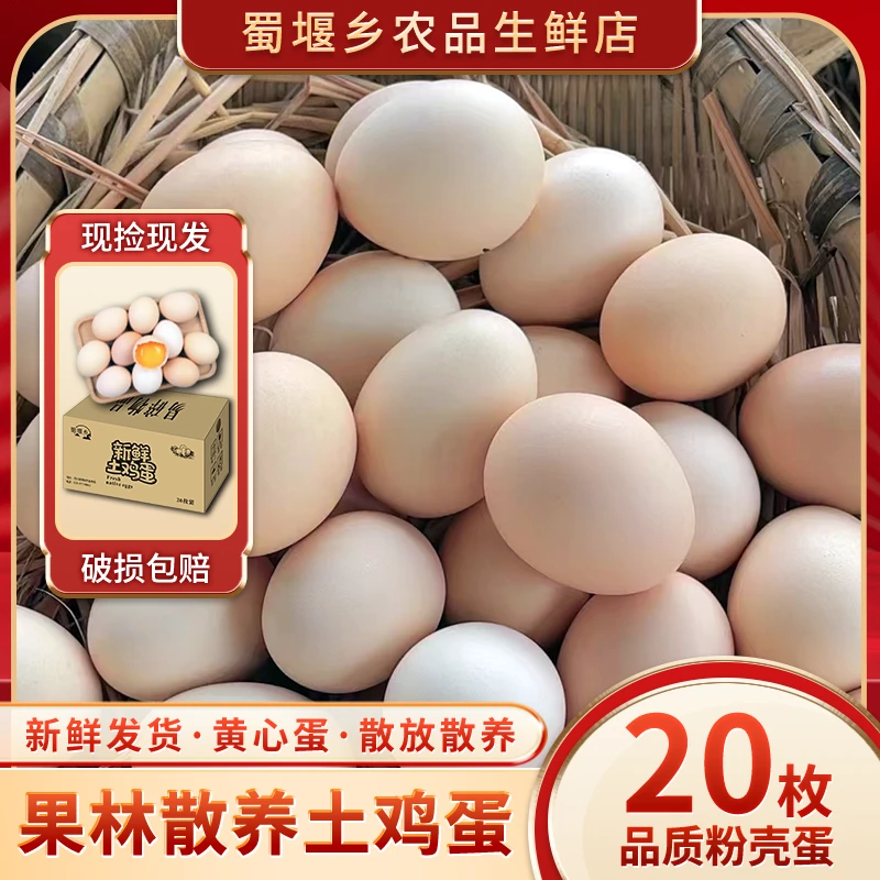 [破损包赔]20枚精品大蛋新鲜土鸡蛋散养散放现捡现发