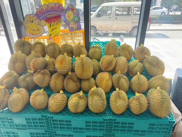 （到店自提）金枕榴莲3斤（超出按26.8元一斤补差价）榴莲同城配