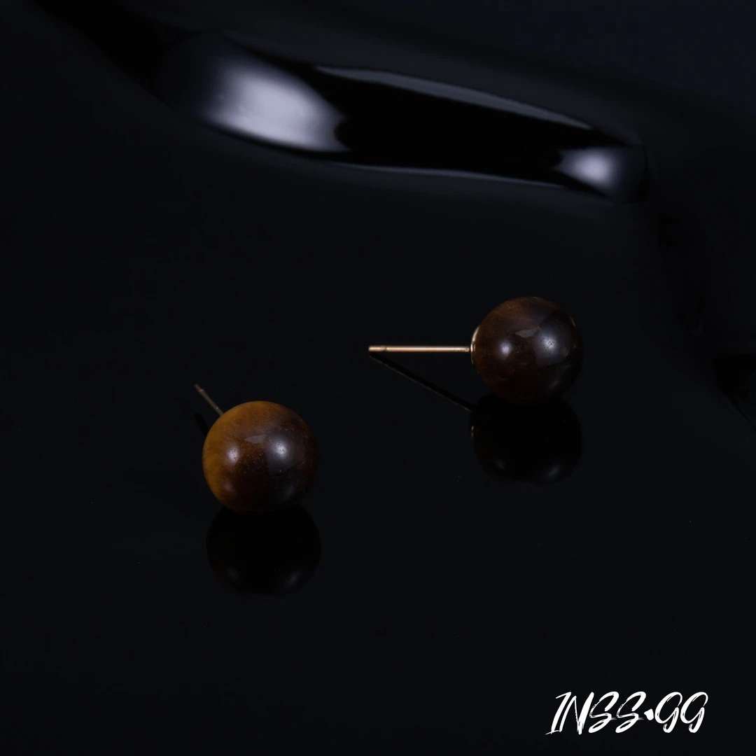 钛钢耳饰 【INSS · GG】新款百搭简约个性轻奢耳环AE1085