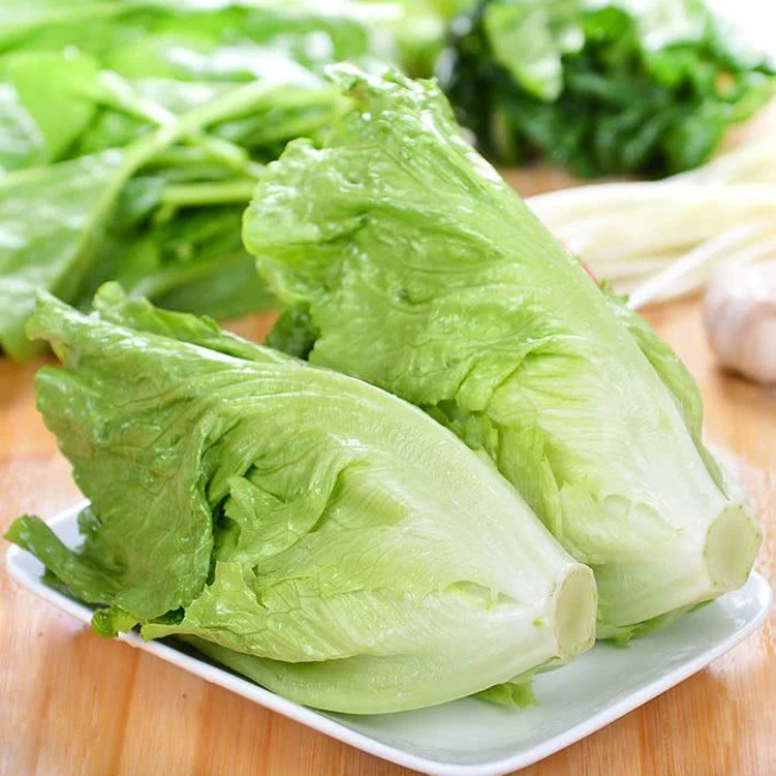 意大利季节生菜种子四季抗热耐抽苔生菜种子优质高产农家种籽耐寒