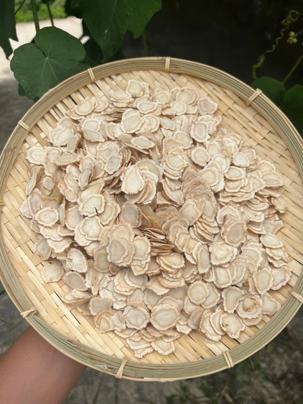 长白山 林下西洋片