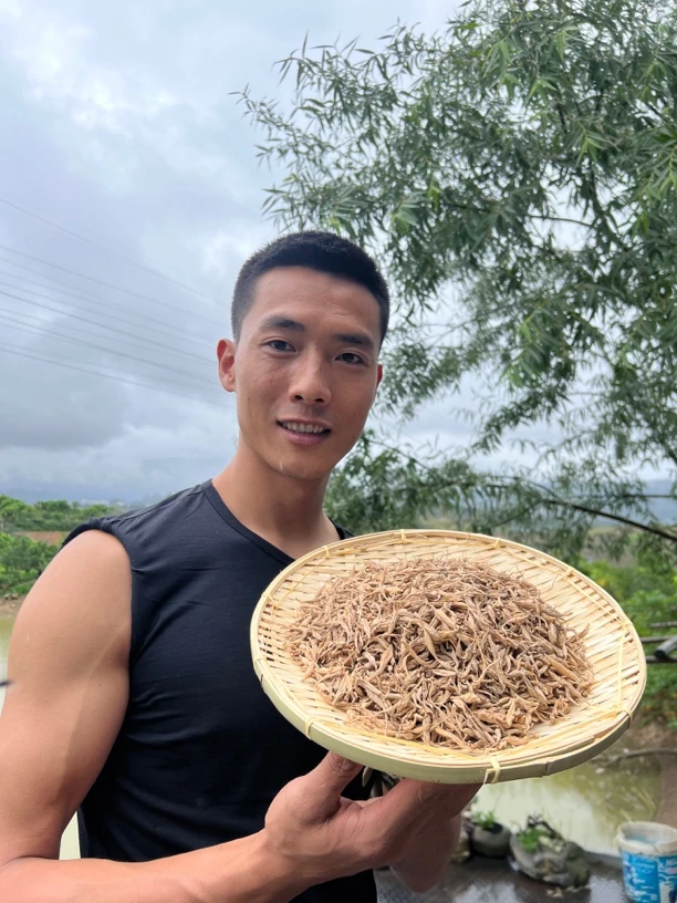 云南麦冬 251g 泡水煲汤好食材