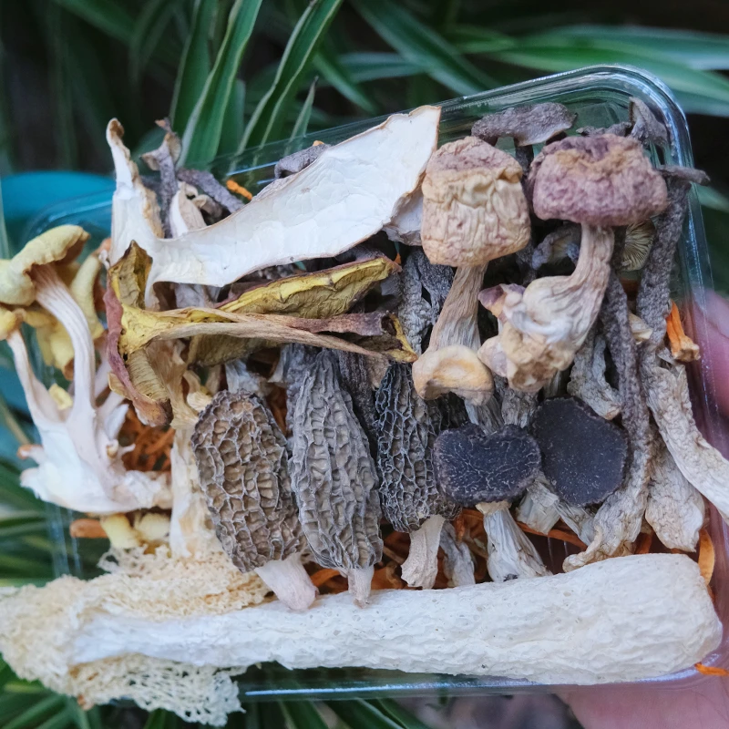 大山深处 农家高配 菌汤包